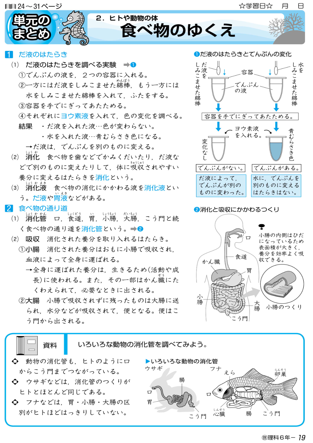 小学生教材「New小学生ワーク（理科）」の紙面イメージ