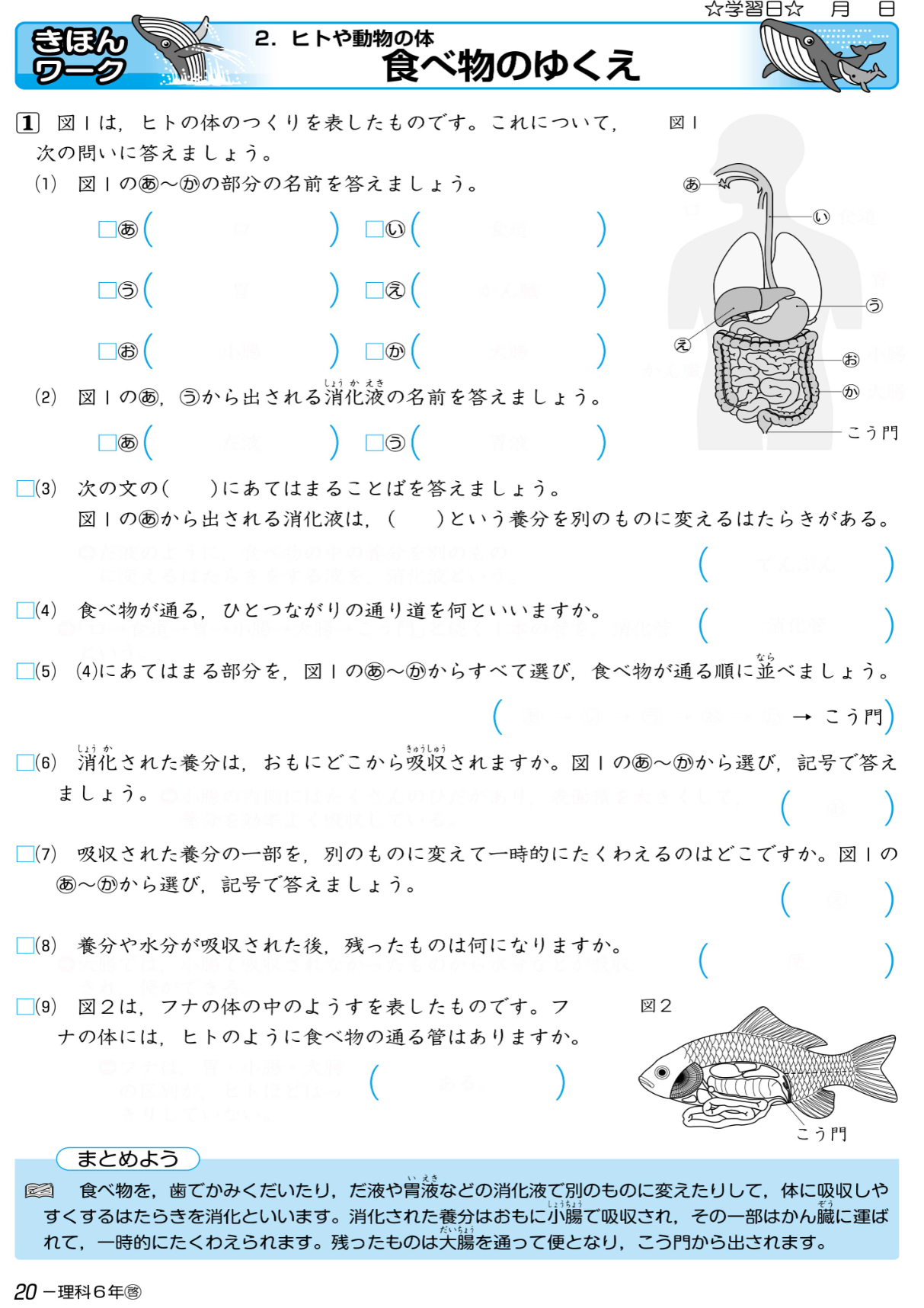 小学生教材「New小学生ワーク（理科）」の紙面イメージ