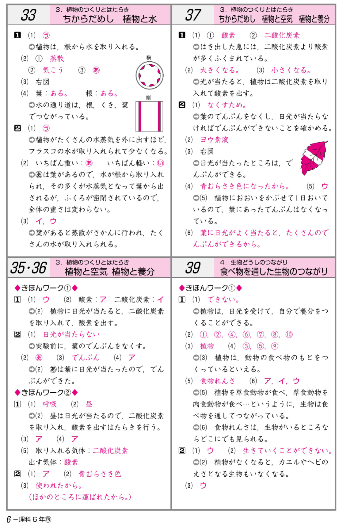 小学生教材「New小学生ワーク（理科）」の紙面イメージ